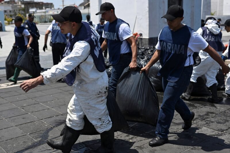 Wildlife killed, reefs damaged in ‘active’ Gulf of Mexico oil spill | Climate Crisis News