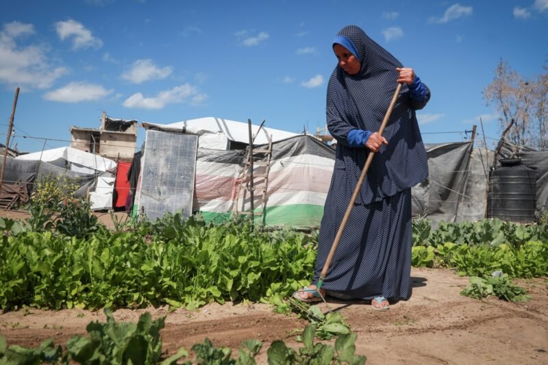 Land Day in Gaza: Between memory and the fight for what remains | Gaza