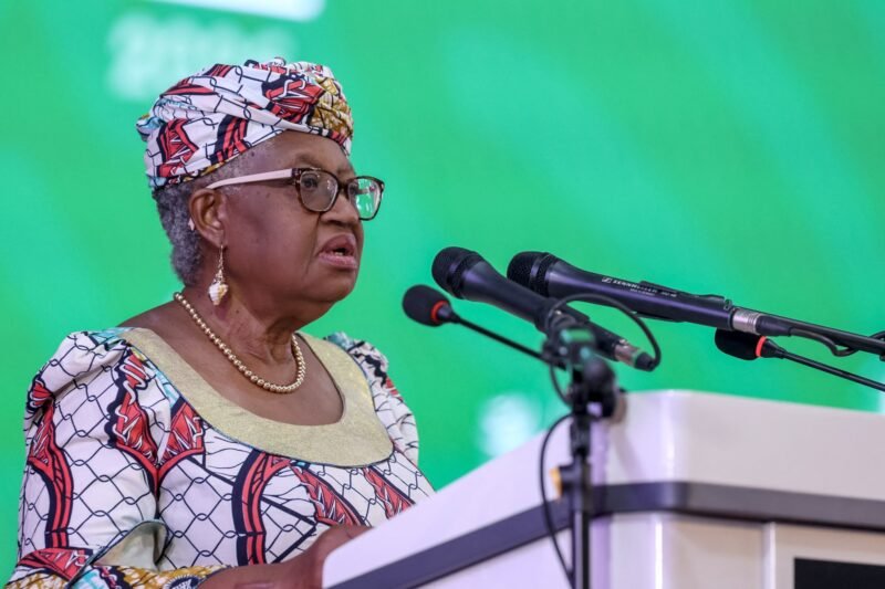 WTO holds crunch meeting amid growing uncertainty over multilateral system | International Trade News