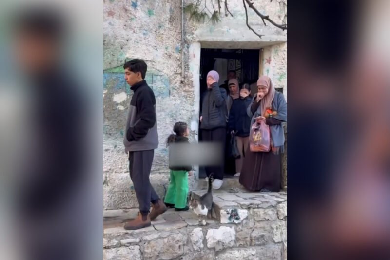 Palestinian family evicted from home in occupied East Jerusalem | Benjamin Netanyahu News
