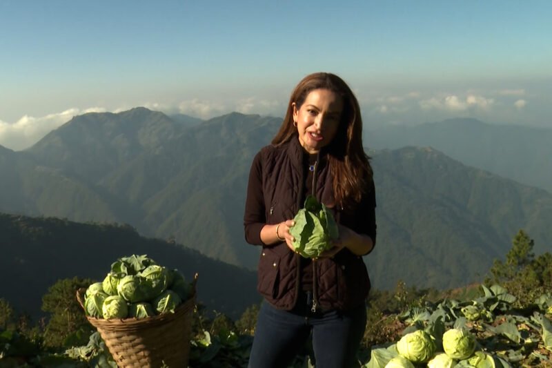 Philippines farmers feeling the pinch of the war on Iran | Oil and Gas