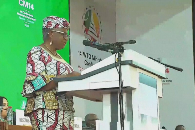 WTO says world experiencing worst trade disruption in 80 years | International Trade News