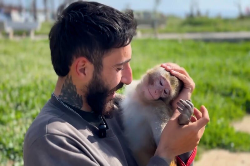 Lebanese resident stays behind with pet monkey despite evacuation orders | Newsfeed