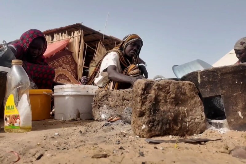 Displaced families in Sudan struggle as aid falls short
