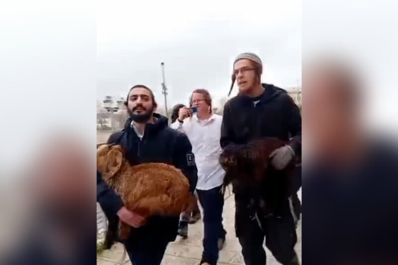Israelis attempt to perform Passover sacrifice at Al-Aqsa | Israel-Palestine conflict News