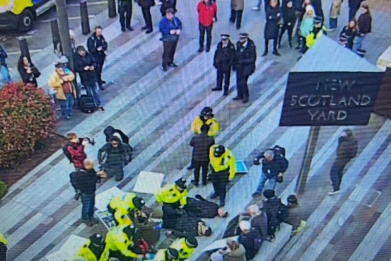 Palestine Action supporters arrested as London’s Met Police reverse policy | Israel-Palestine conflict News