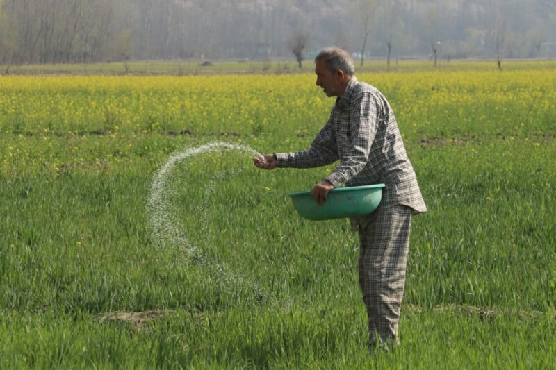 ‘It all depends on the crop’: Gulf crisis hits South Asia farmers | Agriculture News
